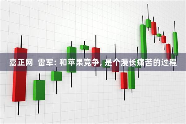 嘉正网  雷军: 和苹果竞争, 是个漫长痛苦的过程