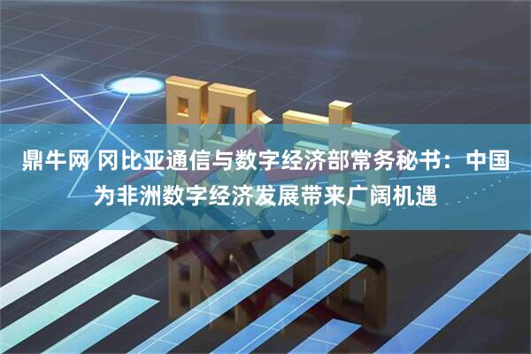 鼎牛网 冈比亚通信与数字经济部常务秘书：中国为非洲数字经济发展带来广阔机遇