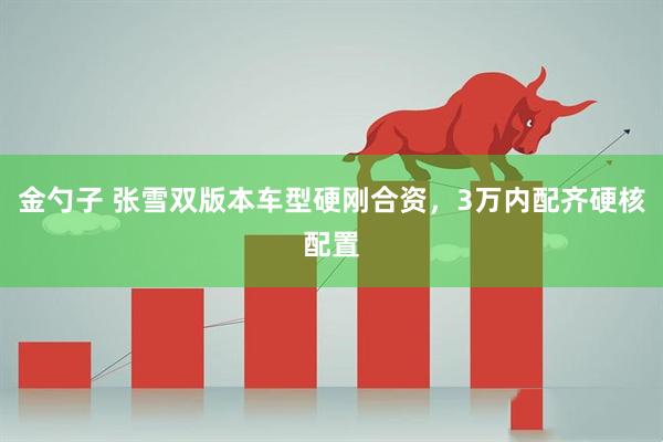 金勺子 张雪双版本车型硬刚合资，3万内配齐硬核配置