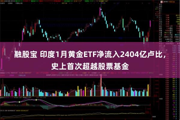 融股宝 印度1月黄金ETF净流入2404亿卢比，史上首次超越股票基金