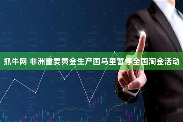 抓牛网 非洲重要黄金生产国马里暂停全国淘金活动